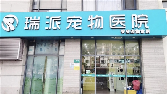 瑞派宠物医院现金流困境与IPO前景分析